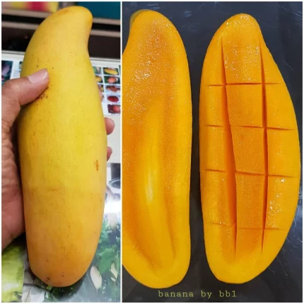 Mango banana